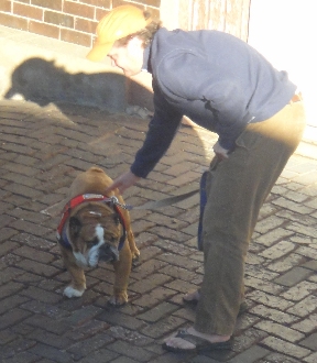 Bruce the bulldog & one of his people